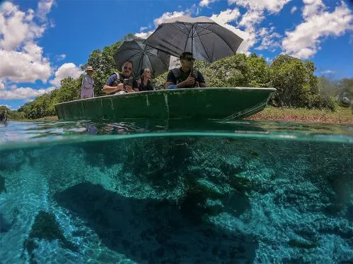 Rio Sucuri | Barco Contemplativo