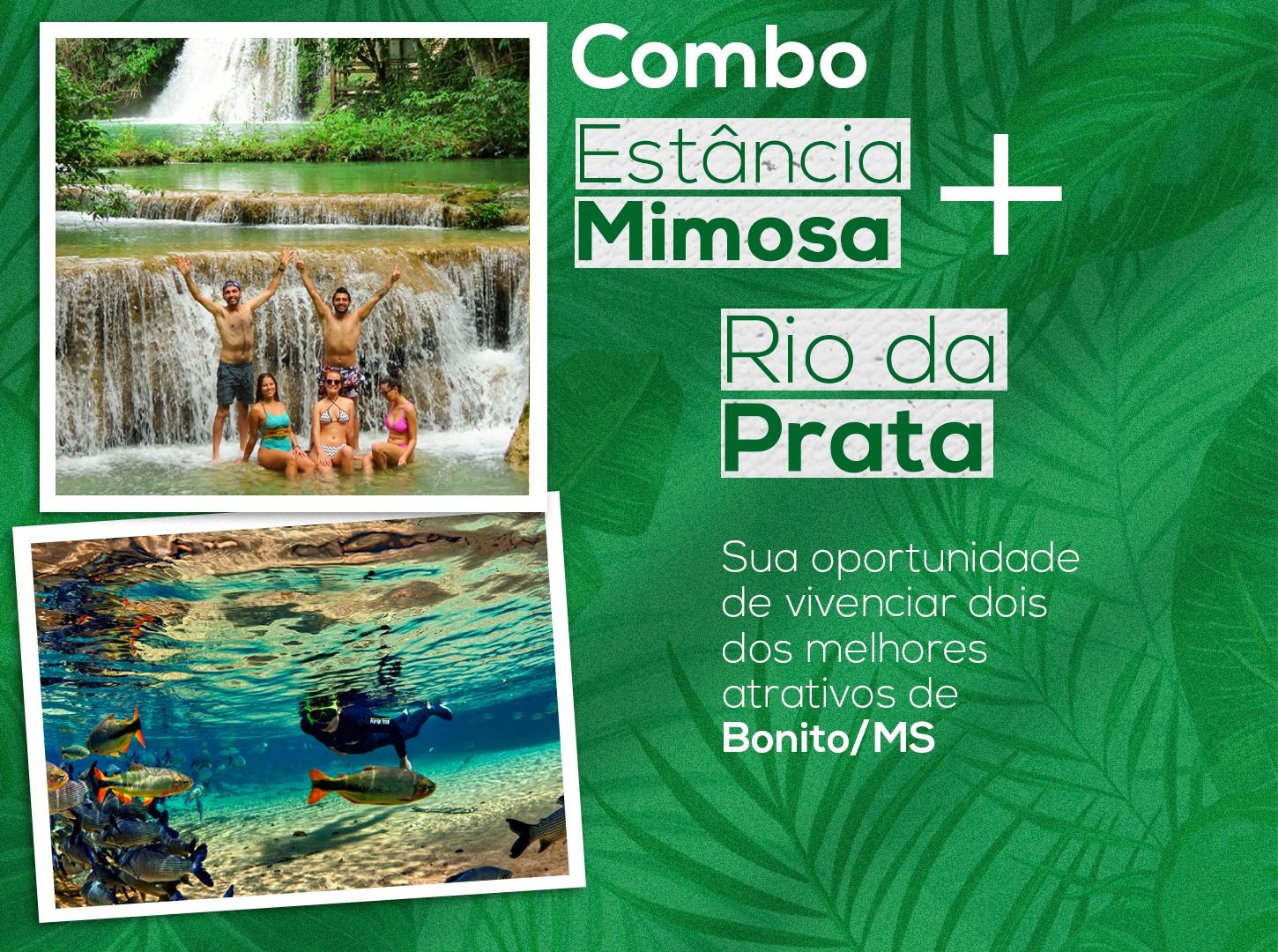 Combo Rio da Prata | Flutuação (Almoço Incluso)
